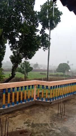 कोडरमा: लोकाई में भी दिखा #yaas_cyclone  का प्रतिकूल प्रभाव पिछले 48 घंटे से हो रही बारिश से परेशानी ।