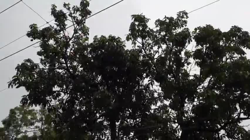 बेरमो: बेरमो कोयलांचल में चक्रवाती तूफान यास का दिखा रहा असर, सुबह से रुक-रुककर हो रही है बारिश #चक्रवात_यास
