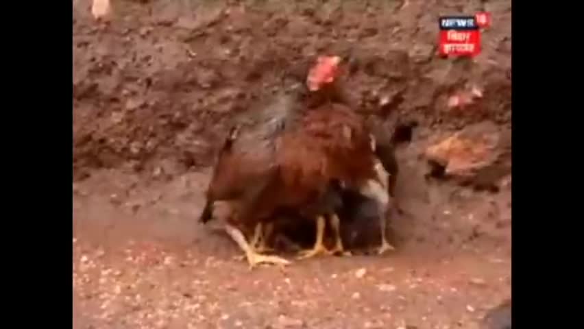 माँ तो माँ होती है ! मौसम... #यास तूफान !
