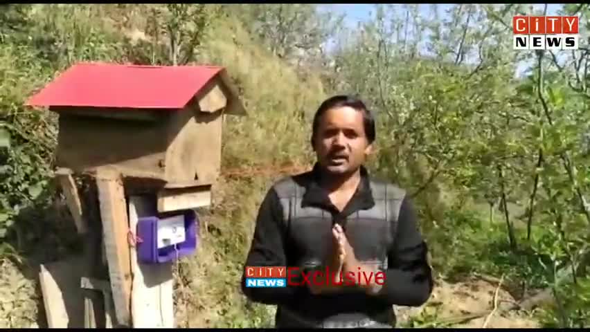 शिमला शहरी: हिमाचल में सेब बागवानों के लिए तयार की गई बंदर और चिडिय़ा भगाने की मशीन . #jairamthakurbjp #HimachalNews #thecitynews