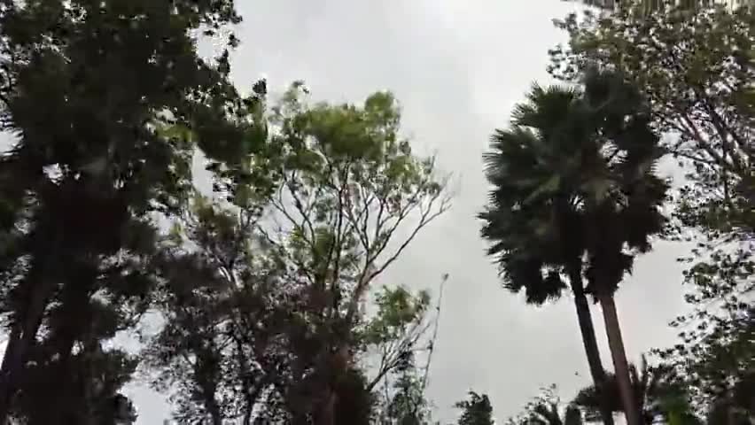 मोरवा: मोरवा मैं यास तूफान का असर दिख रहा है#यास #तूफान #tufan