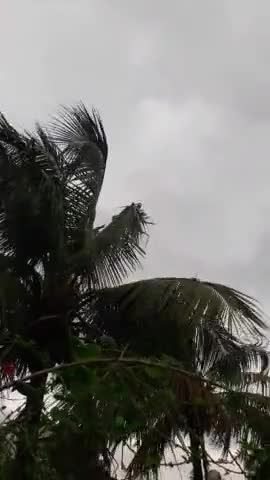 खगड़िया जिला में यास चक्रवत का असर/तेज हवा के साथ सुबह हुई बारिश...
#khagarianews#yaas_cyclone
