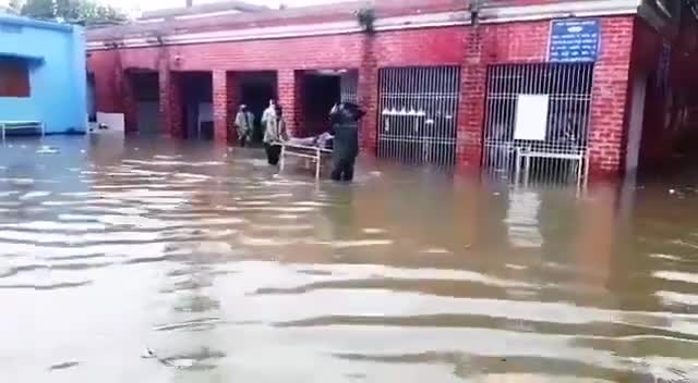 जब अस्पताल ही बीमार हो तो क्या करेगा बीमार का इलाज।

तस्वीर हाजीपुर सदर अस्पताल का है।

#BiharFightsCorona