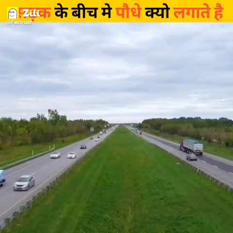 road ke beecho beech pedh kyo lagaya jate hai.#trafic ke liye