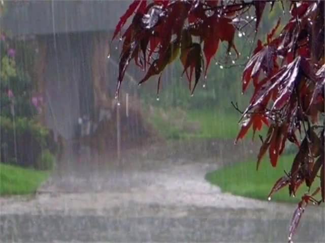 गढ़वा: गढ़वा में बारिश के बाद चिनियां रोड में हुआ जलजमाव, स्थानीय लोगों ने नगर परिषद से आवागमन चालू करने की अपील की #जलजमाव