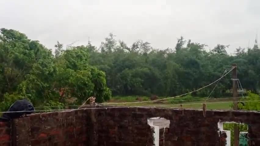 गोपालगंज: गोपालगंज जिले में पिछले 24 घंटे से यास चक्रवात ने जन-जीवन को प्रभावित किया।
#yastoofan 
#taute 
#gopalganjnews