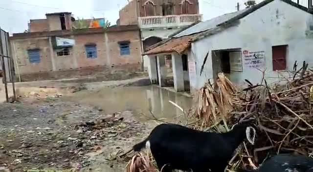 सड़क से ऊँचे नाले कई बार रिपेयरिंग के नाम पे उगाही का नतीजा जर्जर पड़ा ऐजनी पंचायत कचहरी भवन पानी मे तैरता हुआ ।
#ऐजनी