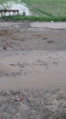बहेरी: jale kamalpur road @##एनएचएआई