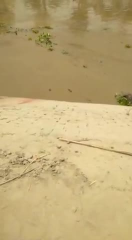 सभी किसान भाइयों को बता दु की। नहर दुबारा बंद कर दी
गिदड़वाहा के पास लाइनिंग धंस गई
सभी तक ये मैसेज पहुँचाये#एनएचएआई