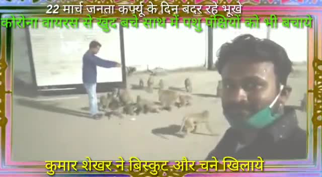 #लॉकडाउन में #बंदरो की #सेवा करते #भोजन #जन #सेवा #समिति के #कुमार_शेखर