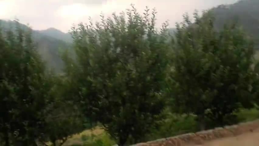 बल्ह: Himachal Pradesh ke chunav ke area mein Hui kal barish#madhya Pradesh