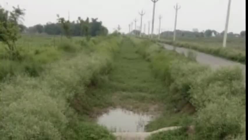 सेवराई: गहमर पूर्वी एवं पश्चिमी लघुडाल कैनल बना शोपीस, किसानों को नहीं मिल रहे पानी से खेती हो रही प्रभावित #खेती_किसानी