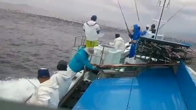 मछली पकड़ने का ये तरीका आपको हिला कर रख देगा fishing technique of the world
#fish #corona #news18 #indianrailway