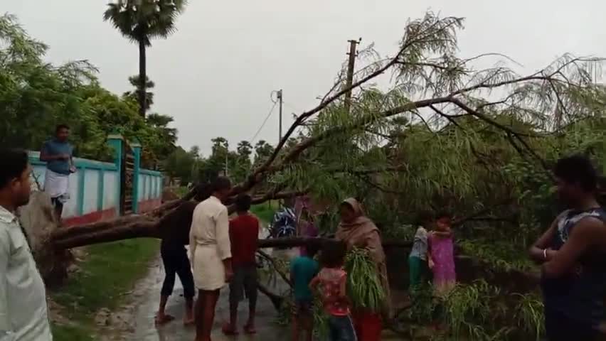 मोरवा: तेज हवा के साथ बारिश ने फिर से किया उपस्थिति दर्ज मोरवा प्रखंड के धर्मपुर बांदे पंचायत से #suryanews #mansun #Morwa