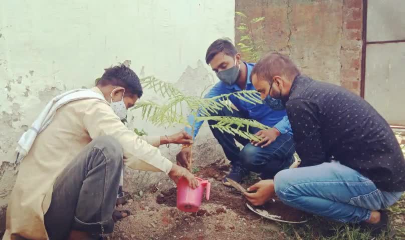 #सेवा_ही_संगठन 
#भाजपा कार्यलय के पीछे गार्डन में वृक्षारोपण