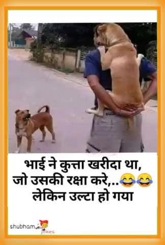 फॉलो करें मजेदार जोक्स के लिए   👉 #jadounjijokes 
 #jadounjijokes #funny #jokes 
#teamjadoun