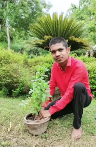5 जून विश्व पर्यावरण  दिवस के अवसर सार्वजनिक स्थानों बंजर भूमि पर कई सारे पेड़ लगाए गए। #WorldEnvironmentDay2021#WorldEn