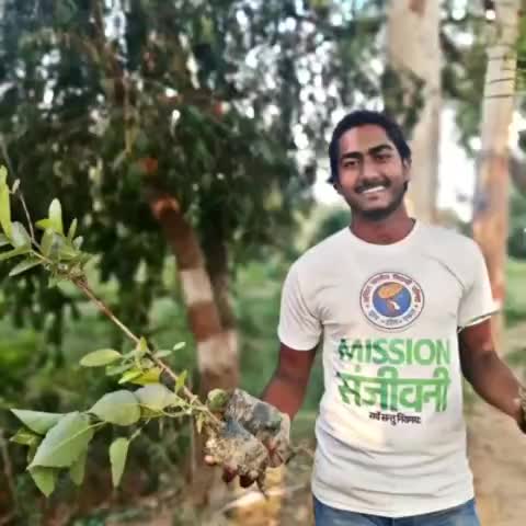 मिशन ऑक्सीजन के तहत वृक्षारोपण करते अभाविप उन्नाव के कार्यकर्ता 
#ABVPForSociety 
#Unnao
#oxygen