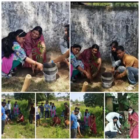 #विश्व_पर्यावरण_दिवस की सभी को हार्दिक शुभकामनाएं।
#पेड़_लगाओ_जीवन_बचाओ।
#पर्यावरण_दिवस #विश्वपर्यावरणदिवस