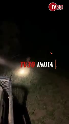 जंगल का राजा शेर आ गया हाथरस के मिढ़ावली गांव में
#tv30india