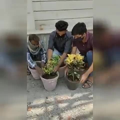 नेहरू युवा केन्द्र बांसवाड़ा ,केंद्रीय खेल मंत्रालय के राष्ट्रीय युवा स्वयंसेवक हर्षित पंड्या ने किया वृक्षारोपण। #Plants