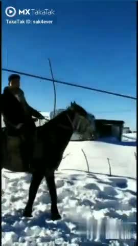 #memories #snowfall #horseriding