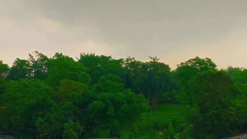 अररिया का मौसमी मिजाज बदला।
आँधी के साथ भारी बारिश।
#araria_update #bihar #biharweather #trending #biharnews #Bihar