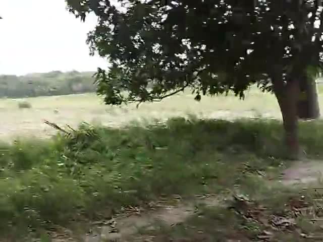 धोली मुरौल: यास##tuphan ke bad bhishan garmy ke karan aaj aadhi ke sath muzaffarpur me varsha huaa**..
