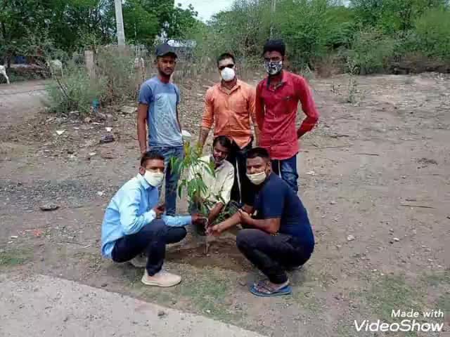 भानपुरा: पर्यावरण दिवस पर नगर में युवाओं द्वारा किया गया पौधारोपण #environmentday