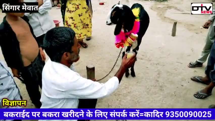 ईदुल अजहा यानी बकरा ईद के अवसर पर हजरत इसमाइल की यादगार मैं हर साल बकरे की कुर्बानी की जाती है... #बकरा #कुर्बानी