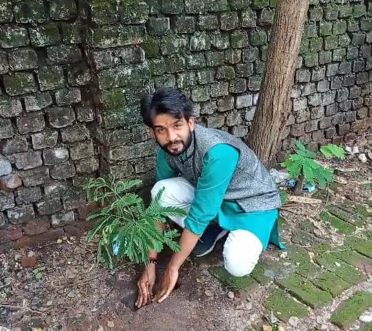 #विश्वपर्यावरणदिवस पर गैर राजनीतिक संस्था #रामगढ़_बचाओ_संघर्ष_समिति के प्रधान कार्यालय में वृक्षारोपण किया गया।