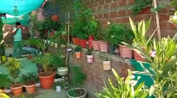 पर्यावरण प्रेमी दो भाइयों की अनुकरणीय पहल,घर की छत पर बनाया बगीचा अब लोगो को निःशुल्क करेगे पौधों का वितरण
#save_tree