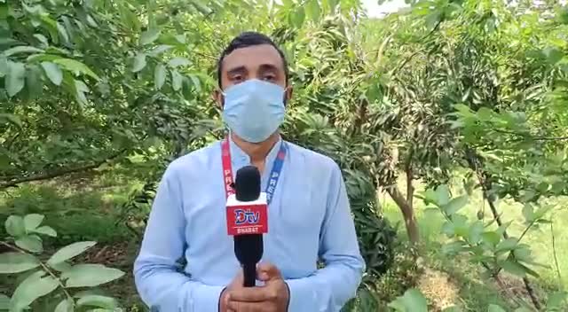 #बंजर_भूमि पर इस #युवा ने उगाए हजारों फलदार वृक्ष।
1500 से ज्यादा फलदार वृक्ष है बगीचे में।
#आत्मनिर्भर_भारत #बिहार