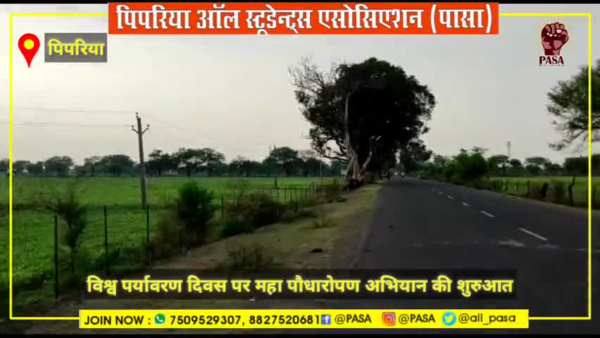 पिपरिया ऑल स्टूडेंट्स ने शुर किया पिपरिया से सांडिया तक महा पौधारोपण अभियान ।
#teamPASA #pasa #pipariya