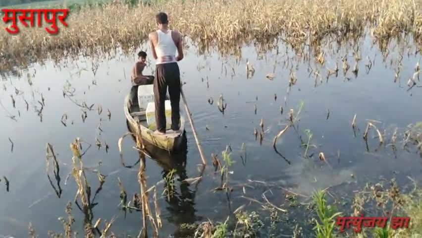 सरायरंजन: मुसापुर कर्पूरी बाँध के समीप के किसानो का फ़सल का नुकसान हुआ देखे इस विडियो में रो रहे हैं किसान हँस रहा है सरकार#raman@