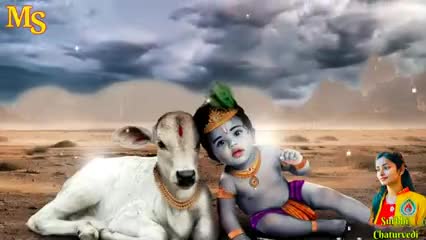 जय राधा माधव
﻿#thakurकृपा﻿