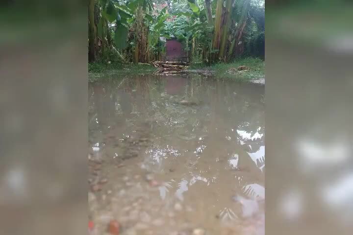हाजीपुर: #breakinglive भारी बारिश से बेहाल हुआ sanchipatti ⛈️⛈️⛈️⛈️⛈️#livenewshajipur
              रिपोर्ट देखे 🌩️🌧️☔🌪️🌩️🌩️