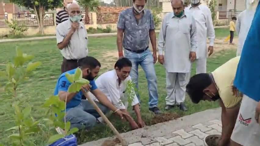 पेड़ लगाकर कर रहे है ऑक्सिजन की कमी को दूर ऐसा कहना है संस्था युथ ब्लड डोनर टीम कुरुक्षेत्र का
#news_update #aaj #oxygen