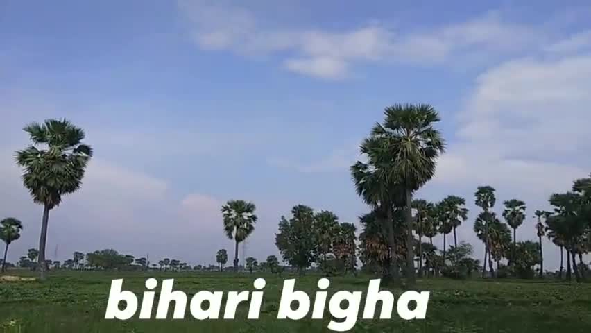 जहाँ डाल डाल पे सोने की चिड़िया करती है बसेरा.. वाह भारत देश है मेरा 🇮🇳#Meskaur Nawada