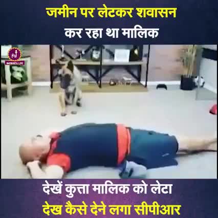 जमीन पर लेटकर शवासन कर रहा था मालिक, देखें कुत्ता मालिक को लेटा देख कैसे देने लगा सीपीआर |

#viralvideo #dogs