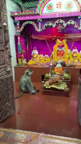इंदौर: माता बिजासन में दर्शन करने पहुँचे स्वंम 🙏वीर हनुमान जी जय श्री राम
#india24newslive #indor #indore #indian_army #news