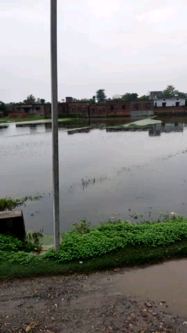 बेतिया: #bettiha#wesht champaran ke barwat pasrain panchayat se khabar hai jal jamao