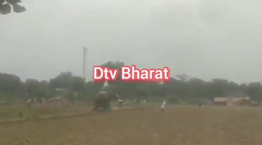 सनके गजराज, 3 गांवों में 4 घंटे मचाया #उत्पात।
सनके हाथी से #दहशत में रहे लोग।
एक #गंभीर रूप से #जख्मी
शाहपुर की #घटना