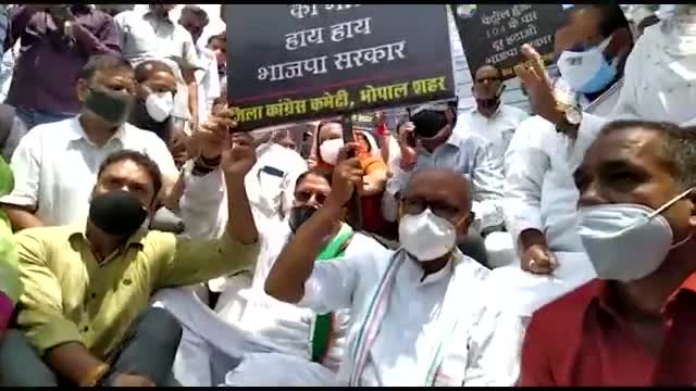 मध्यप्रदेश कांग्रेस कमेटी द्वारा भोपाल में डीज़ल पेट्रोल के बढ़ते दामों को लेकर विरोध प्रदर्शन किया गया #BJPLootingIndia