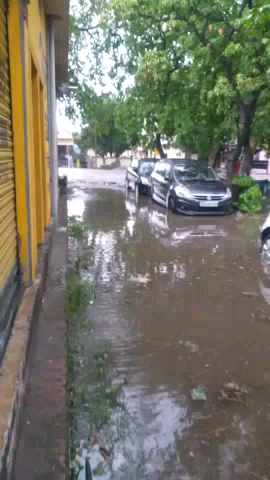हल्द्वानी: Haldwani Talli Ward 58 Suyal Colony Gali No. 3 ka haal ...
#NagarNigamHaldwani