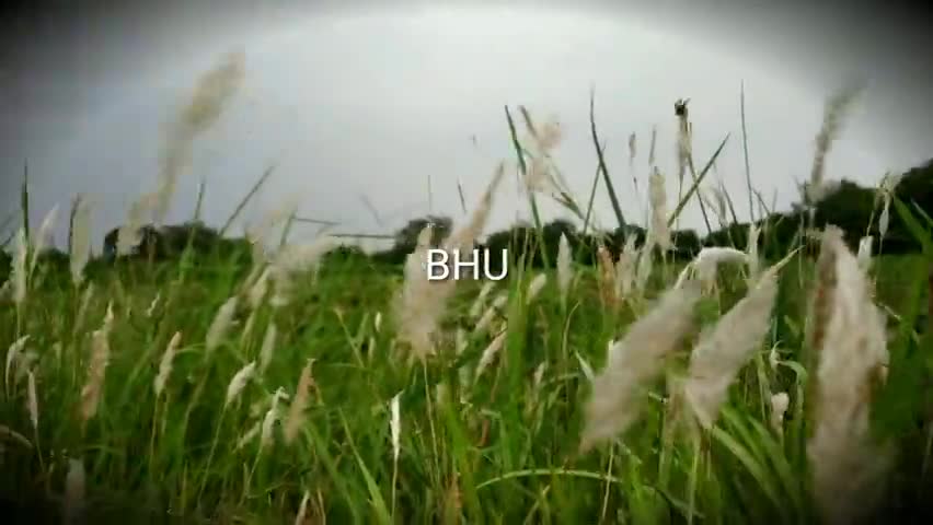 बीएचयू के कृषि विज्ञान संस्थान का बेहद खूबसूरत दृश्य﻿ #naturelovers #bhu