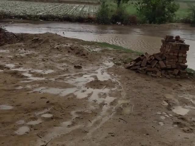 आदमपुर: Adampur main barish ho rahi hai #Haryana#Adampur