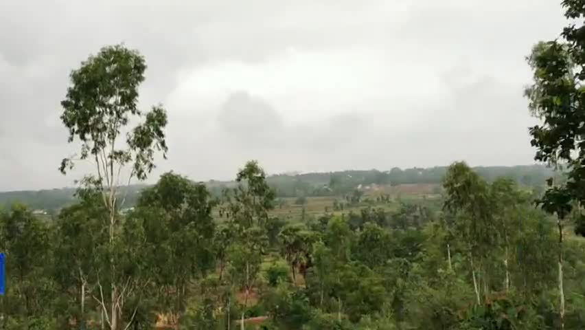 लातेहार दृश्य, पेड़ 🌳 पौधा 🌱 ही हमारा जीवन है पेड़🌳पौधा  को बचाऐं #प्रकृति #पर्यावरण #दृश्य #लातेहार #national_news