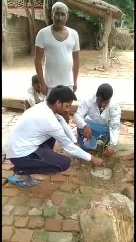 #बाराबंकी में #ग्राम_प्रधान अल्वा मऊ ने किया #वृक्षारोपण / #श्रवण_चौहान #फॉलो_करें