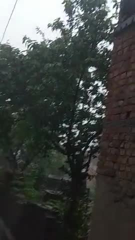 हिलसा: #हिलसा मानसून के साथ बारिस भी नही रुक रही है